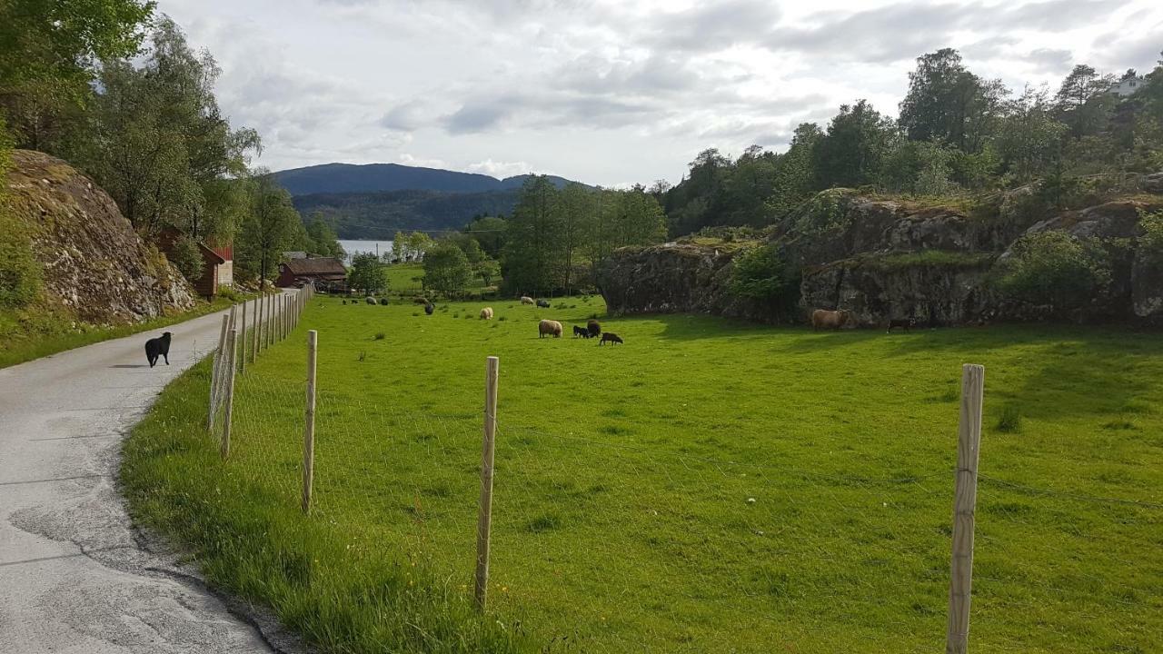 Ostereidet Molvik Hyttenヴィラ エクステリア 写真