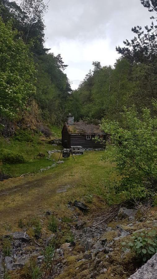 Ostereidet Molvik Hyttenヴィラ エクステリア 写真